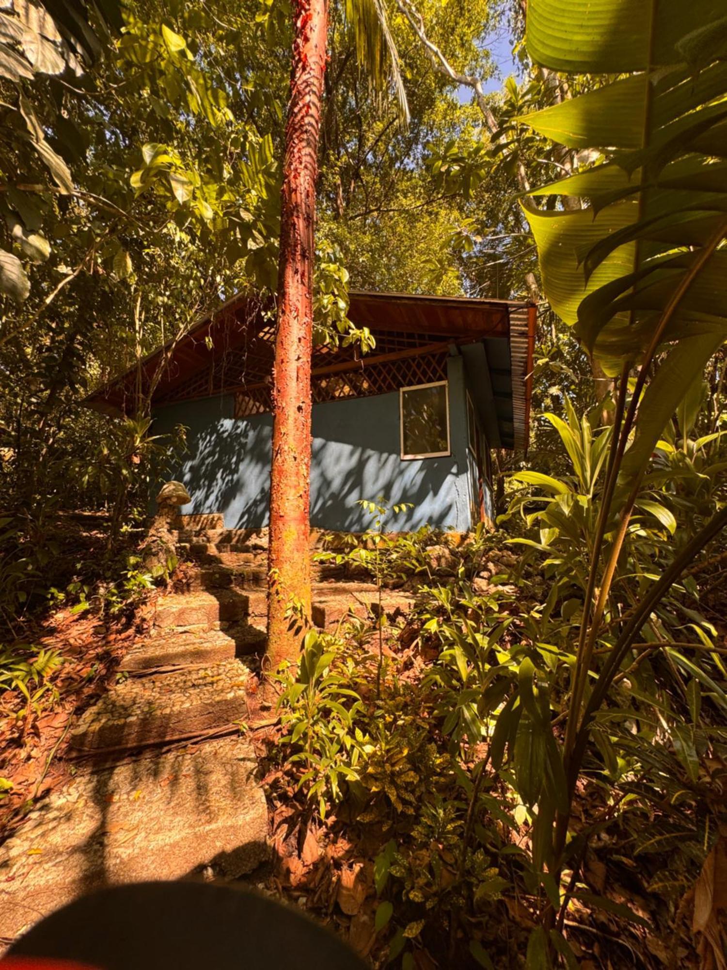 Finca Tatin Hotel Izabal Exterior foto